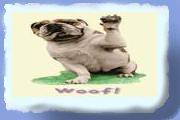hunde05.gif