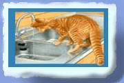 katte06.gif