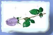 nyblomst8.gif